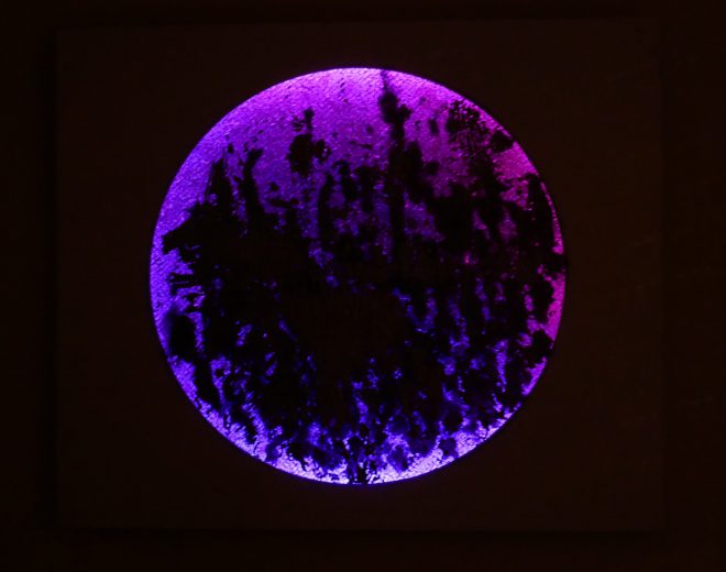 P1030578-w